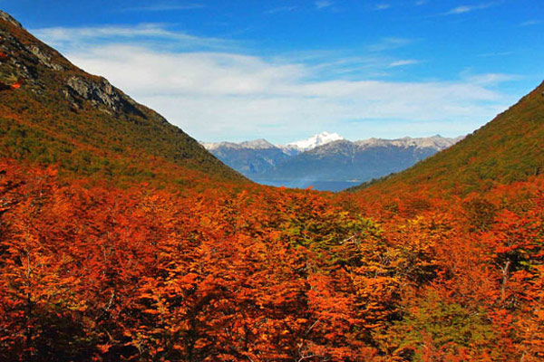 cajon negro villa la angostura